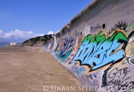 Street Art of San Francisco (Ocean Beach Cyan Tag) 3.25.10